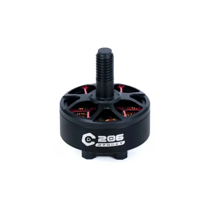 Axisflying C206 - Görsel 1